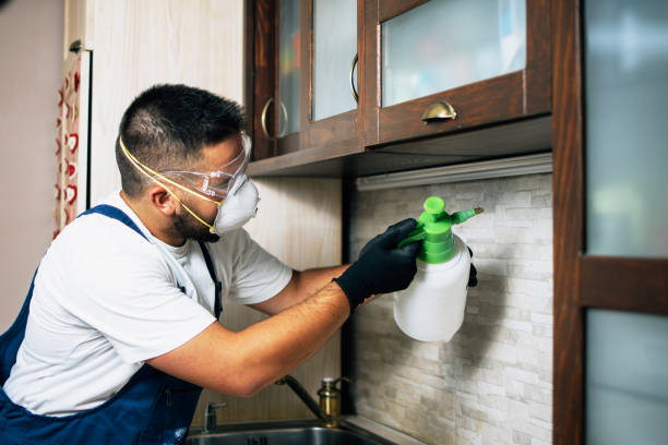 Pest Control Cost in University Park, TX