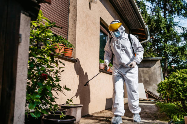Best Affordable Pest Control Services  in University Park, TX