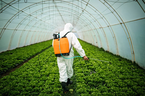 Best Pest Prevention Services  in University Park, TX