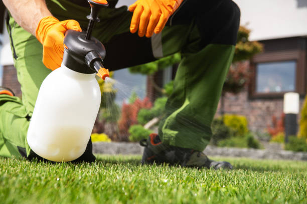 Best Best Pest Control Companies  in University Park, TX